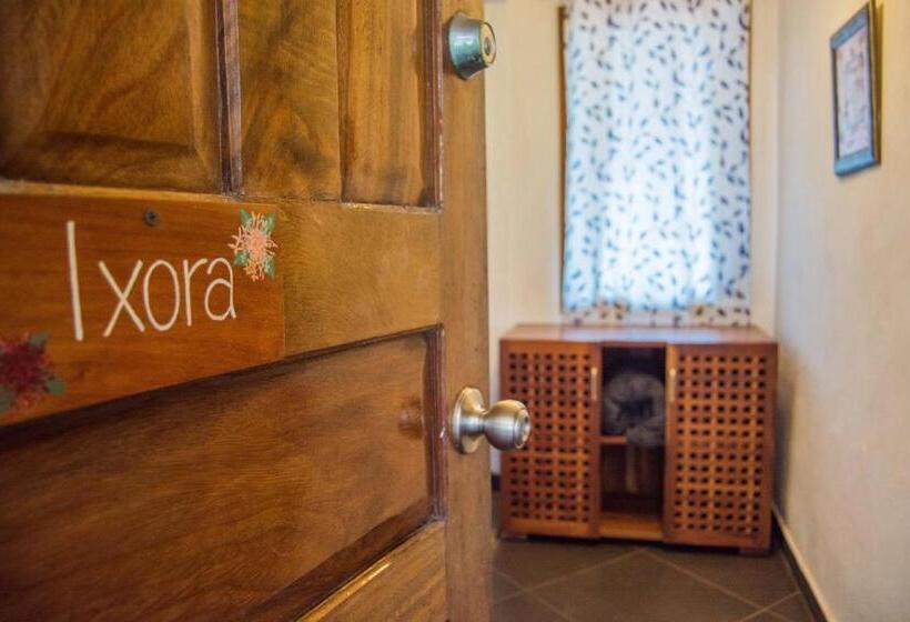 旅馆 Punta Duarte Garden Inn