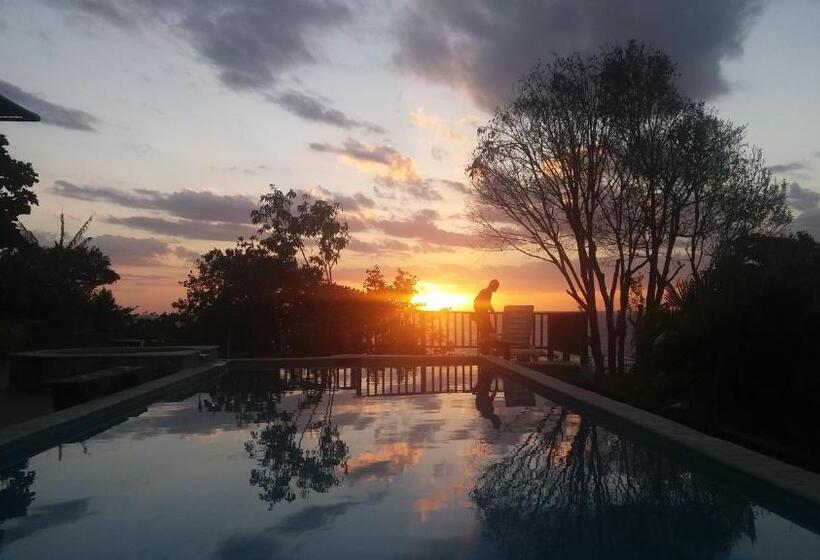 旅馆 Punta Duarte Garden Inn