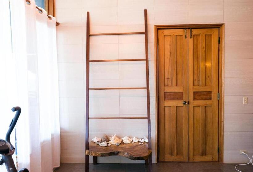 旅馆 Punta Duarte Garden Inn