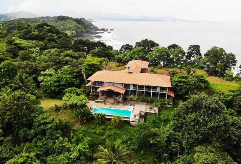 旅馆 Punta Duarte Garden Inn