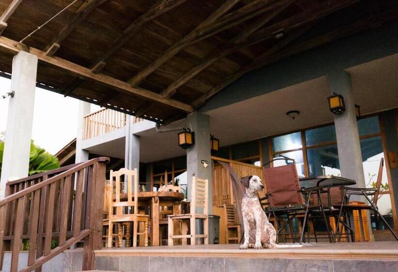 旅馆 Punta Duarte Garden Inn