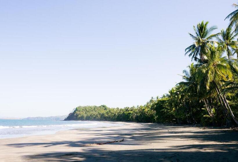 旅馆 Punta Duarte Garden Inn