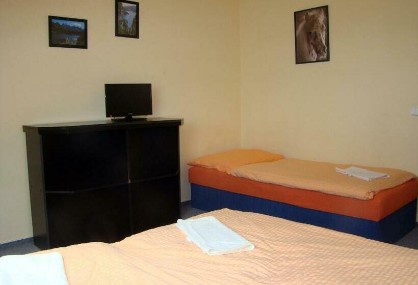 ユースホステル Restaurace Penzion Rafael