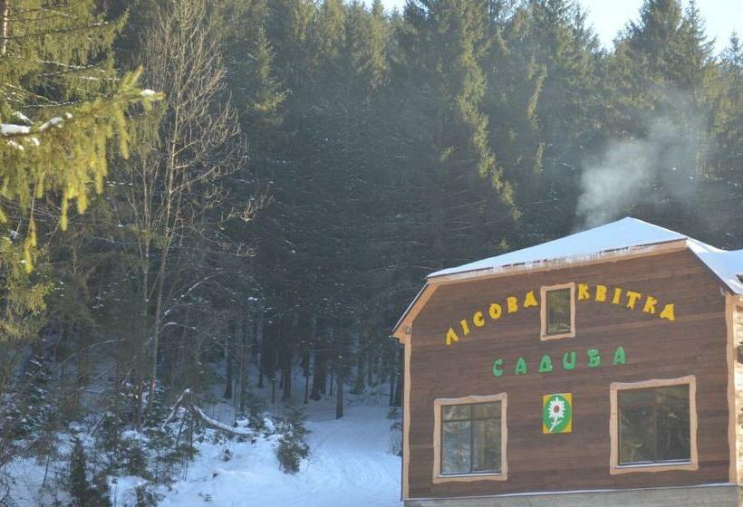 فندق صغير Sadyba Lisova Kvitka