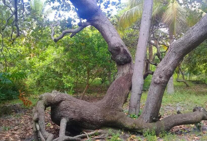 Общежитие Sitio Da Calma