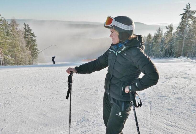 فندق صغير Valfjället Ski Center