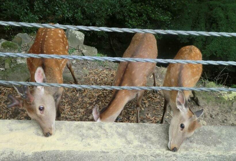 Atelier Bee S Knees Bed & Breakfast