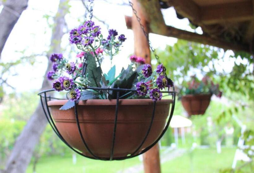 Aya Maria Wellness Spa Resort