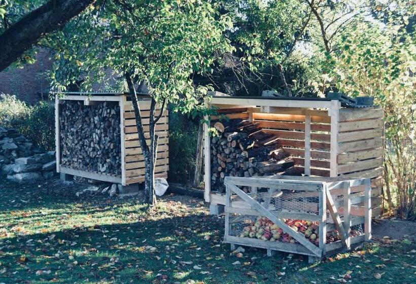 住宿加早餐 Le Relais Du Moustier