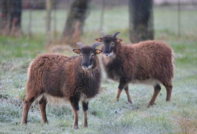 住宿加早餐 Le Relais Du Moustier