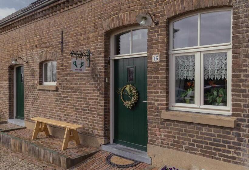 B&b 't Inj