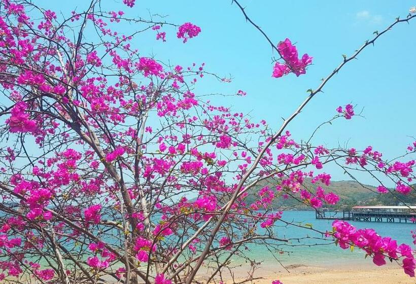 住宿加早餐  Cerrito Tropical Eco Lodge