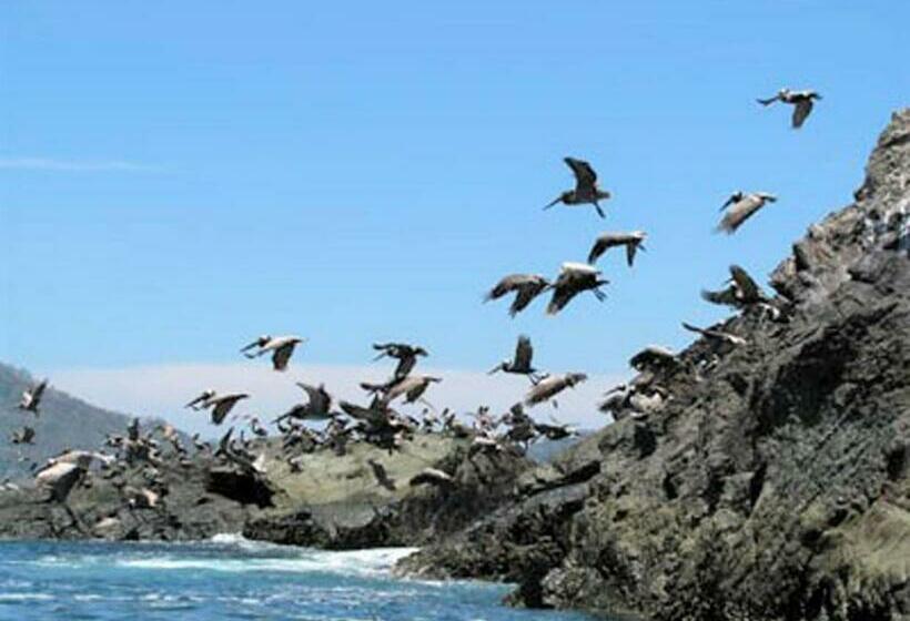 住宿加早餐  Cerrito Tropical Eco Lodge