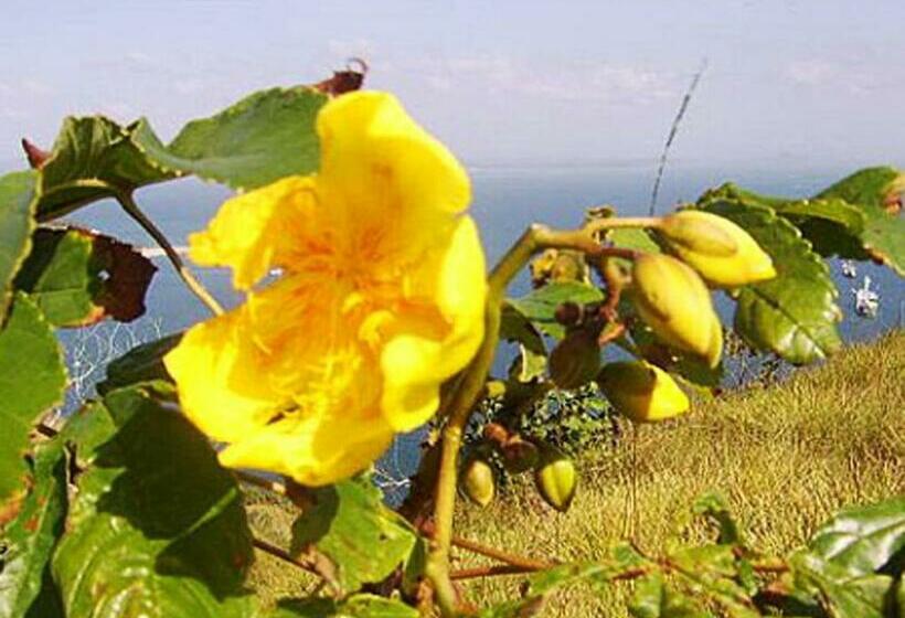 مبيت وإفطار Cerrito Tropical Eco Lodge