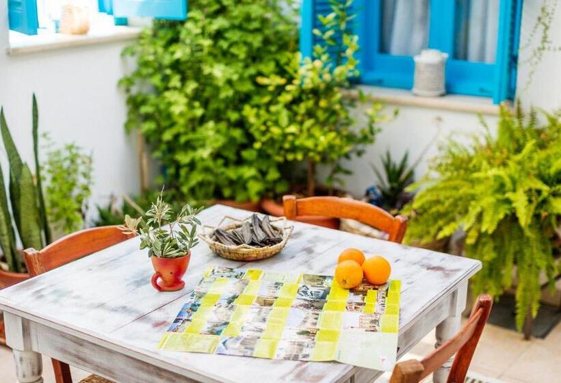 تختخواب و صبحانه Cypriot Swallow Boutique