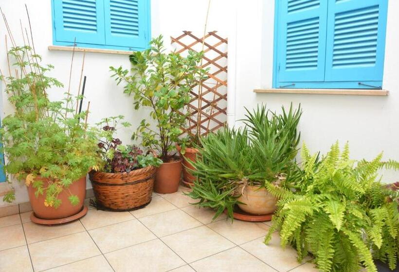 تختخواب و صبحانه Cypriot Swallow Boutique