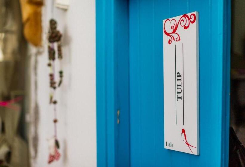 تختخواب و صبحانه Cypriot Swallow Boutique