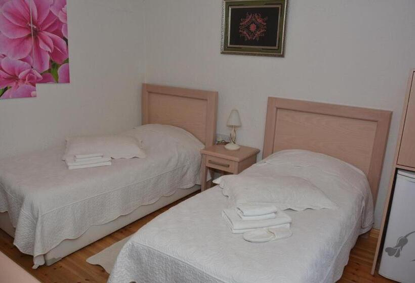 تختخواب و صبحانه Cypriot Swallow Boutique