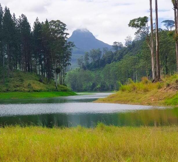 Bed and Breakfast Daddy's Guest Home