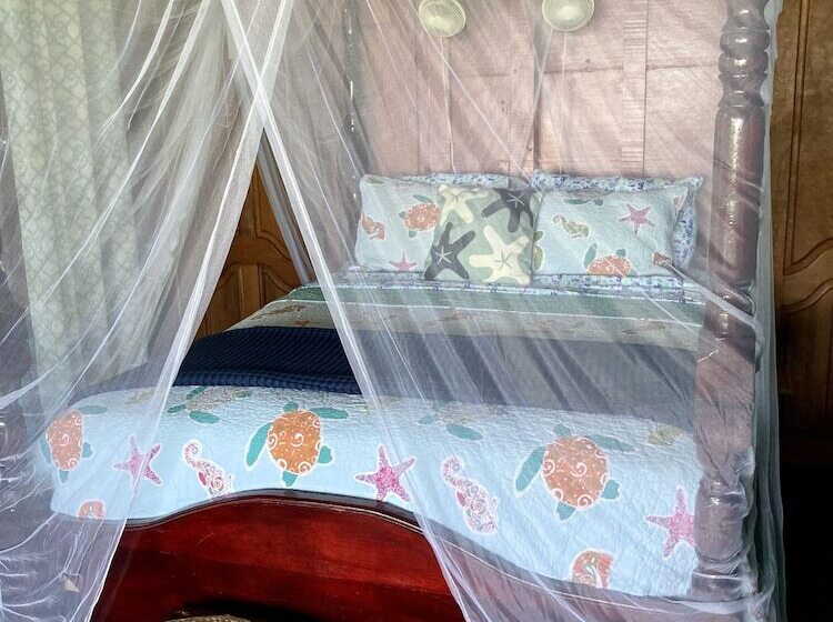 住宿加早餐  Dolphin Bay Hideaway