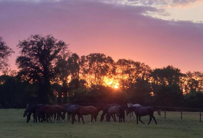 צימר Landgoed De Lavei