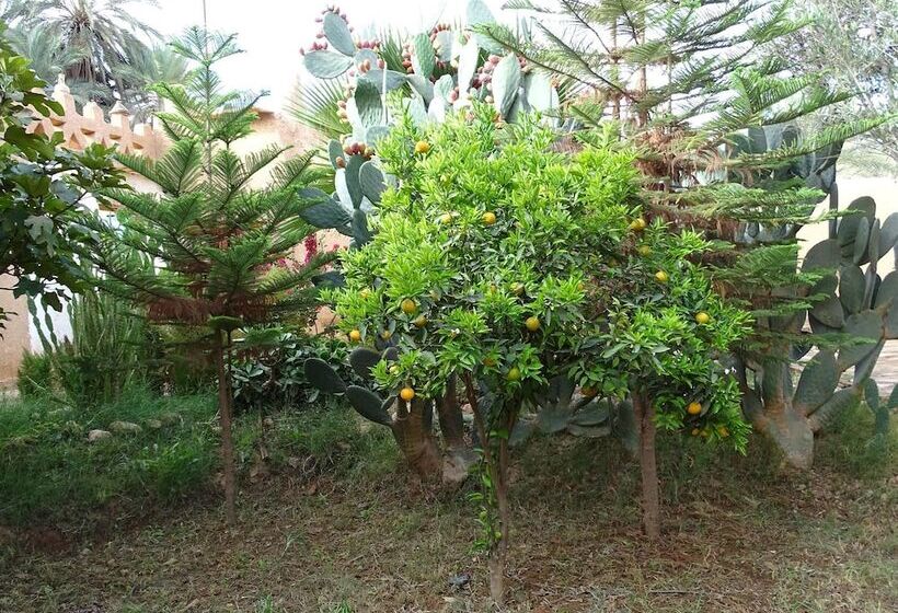 تختخواب و صبحانه Maison Nomades