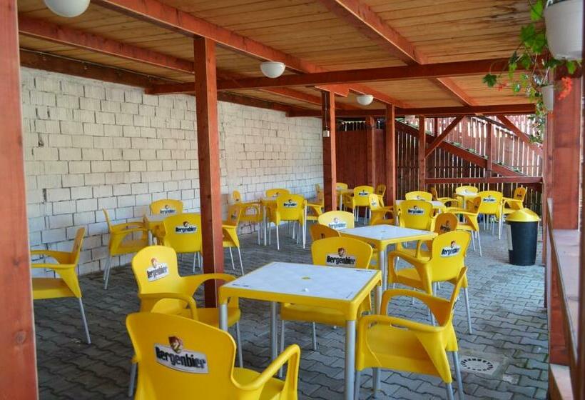 مبيت وإفطار Pensiunea Nemes Panzio