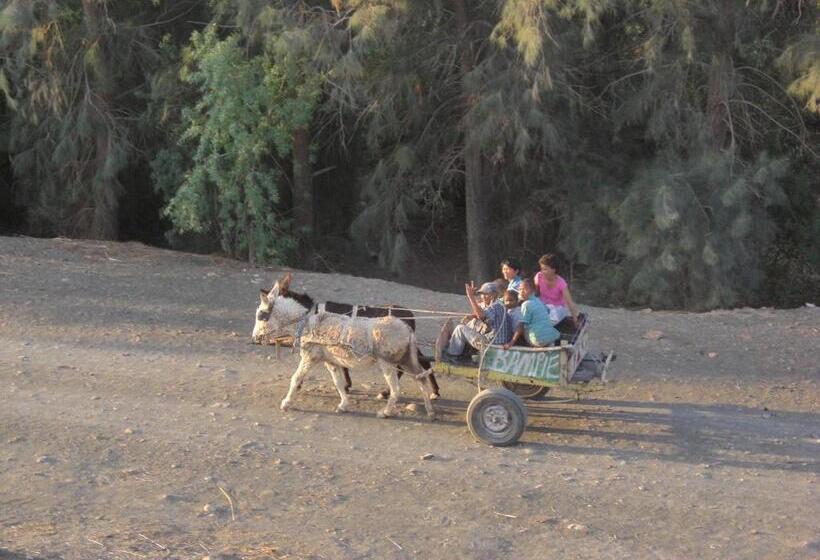 Frontier River Resort