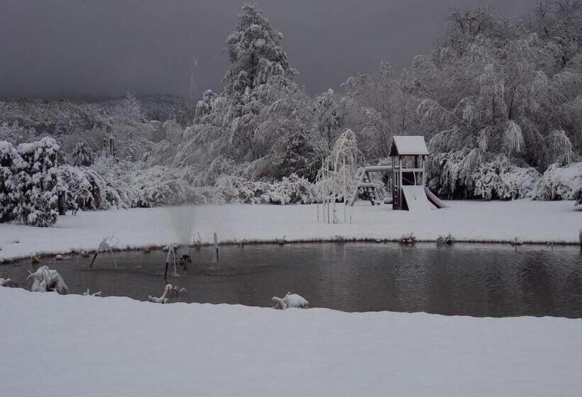 Grandhotel Niederösterreichischer Hof