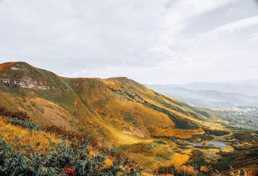 هتل маріна драгобрат