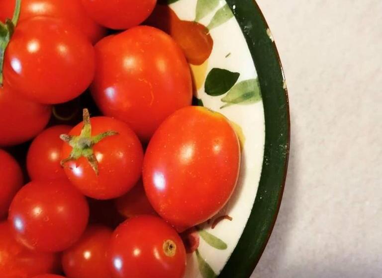 בית מלון כפרי Agriturismo Lis Rosis