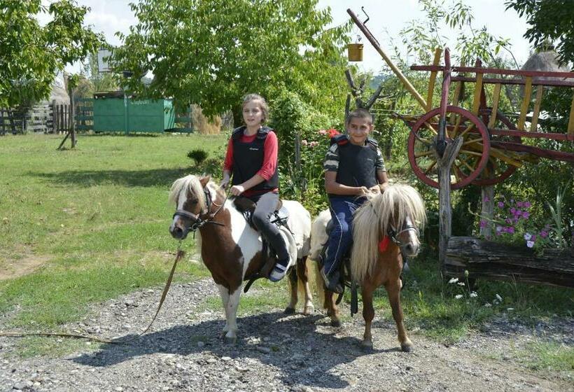Отель Agro Pensiunea Plaiul Castanilor