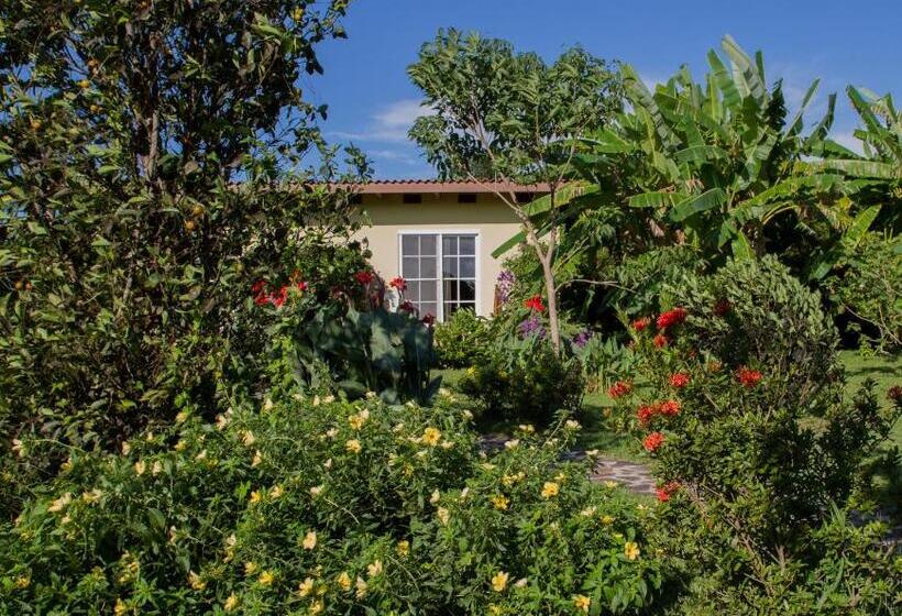 호텔 Cabanas Los Colibris