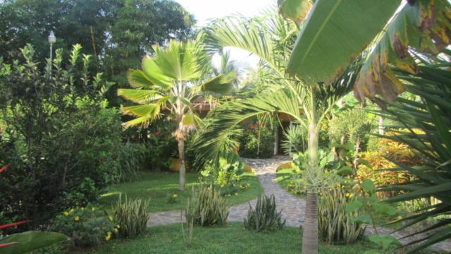 호텔 Cabanas Los Colibris