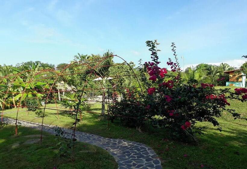 호텔 Cabanas Los Colibris