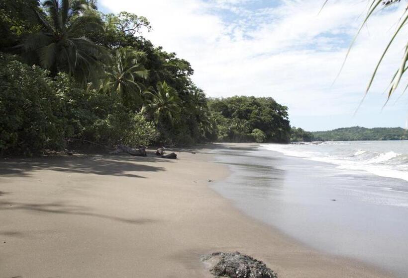 Отель Camino Del Sol