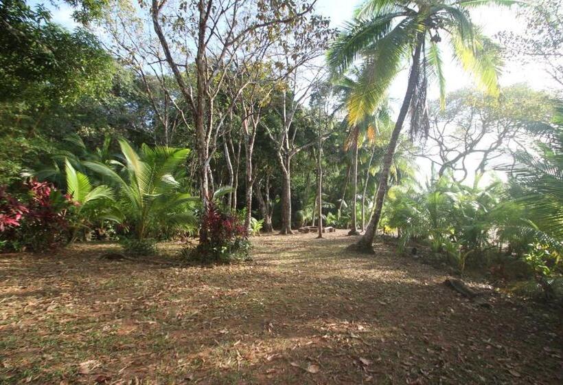 Отель Camino Del Sol