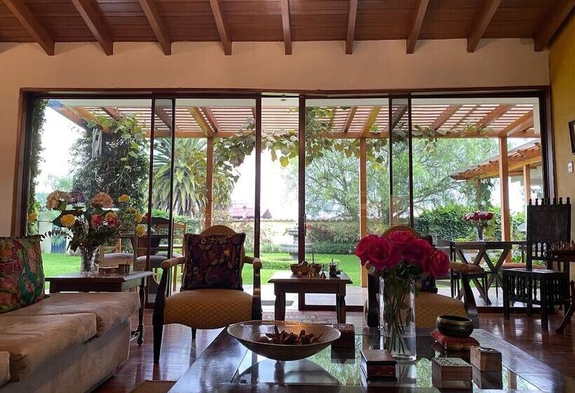 酒店 Casa Del Viajero