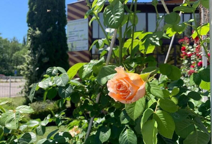 בית מלון כפרי Complex Lenivaya Vera