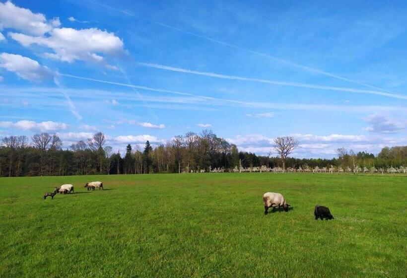 호텔 Ekofarma Bílý Mrak