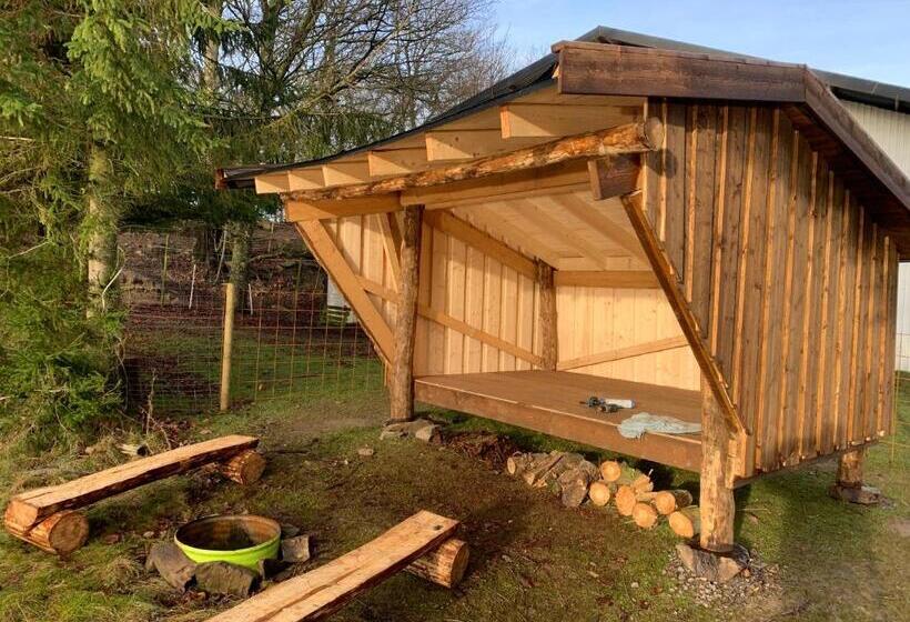 Отель Farm Stay Happy Dogs Ranch