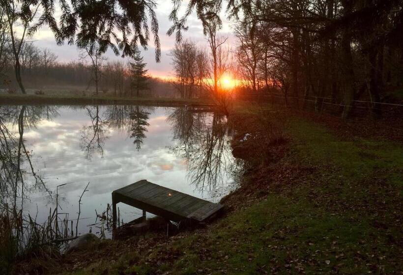 Отель Farm Stay Happy Dogs Ranch