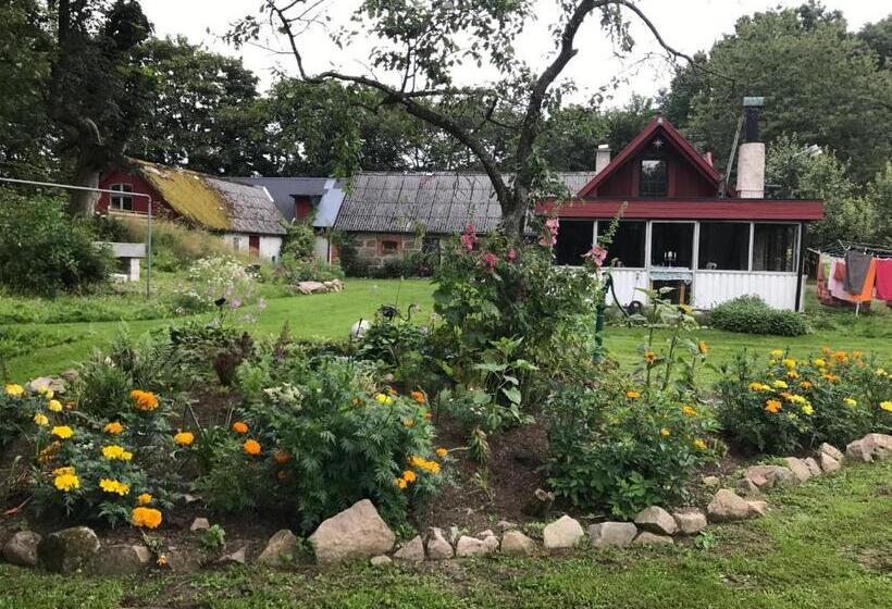 Отель Farm Stay Happy Dogs Ranch