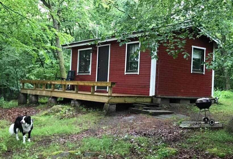 Отель Farm Stay Happy Dogs Ranch