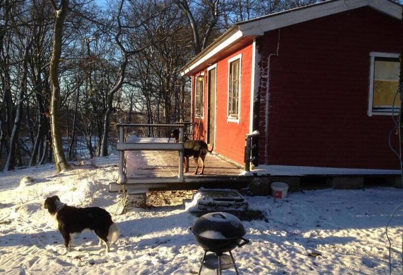 هتل Farm Stay Happy Dogs Ranch