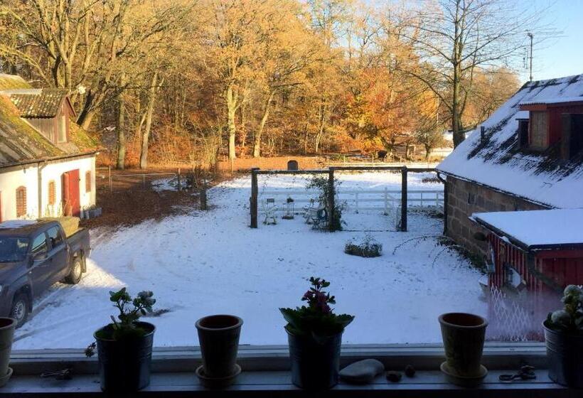 호텔 Farm Stay Happy Dogs Ranch