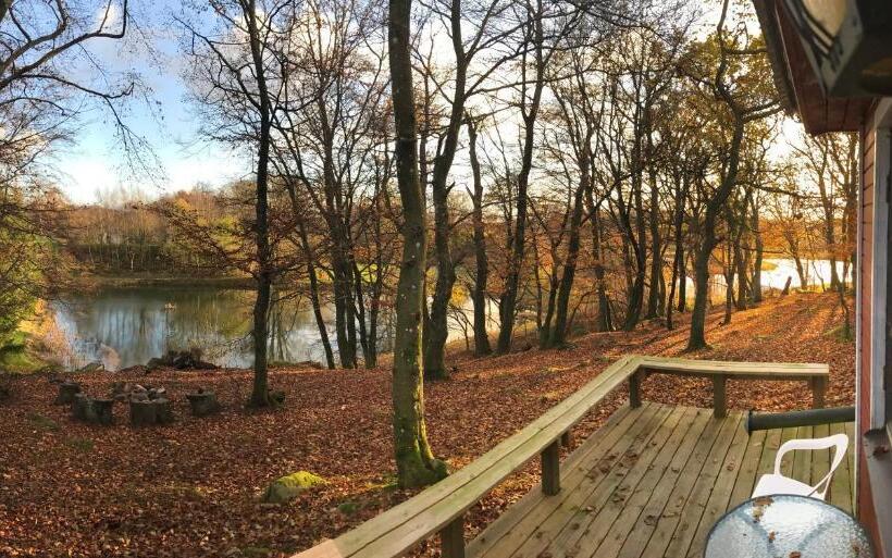 Отель Farm Stay Happy Dogs Ranch