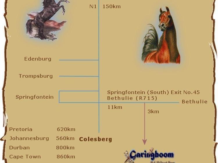 فندق Garingboom Guest Farm