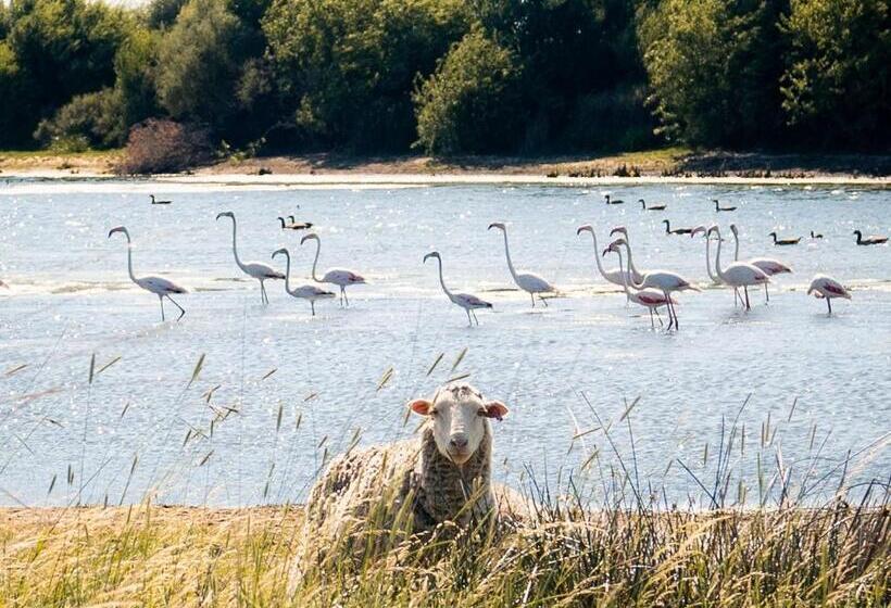 فندق Garingboom Guest Farm