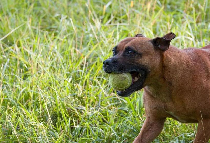 فندق Garingboom Guest Farm